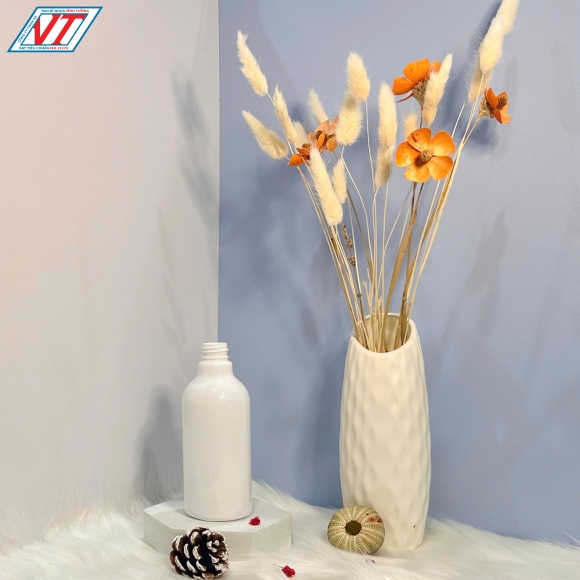 CHAI PET 300ML TRÒN (VT)